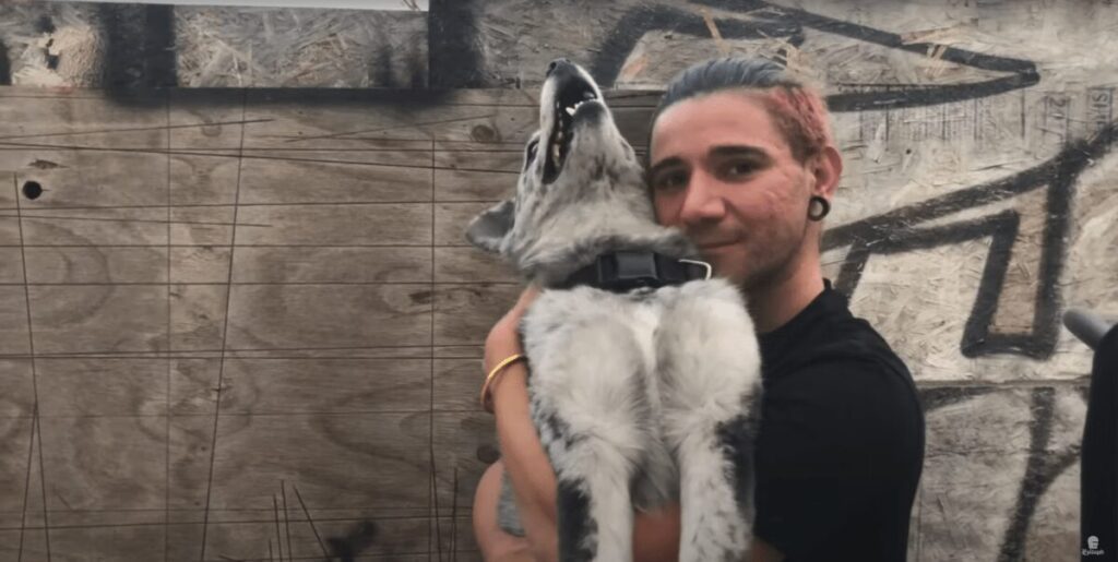 Watch Touché Amoré’s Wholesome, Pet-Themed Music Video With Skrillex, Jimmy Eat World, Rise Against, More