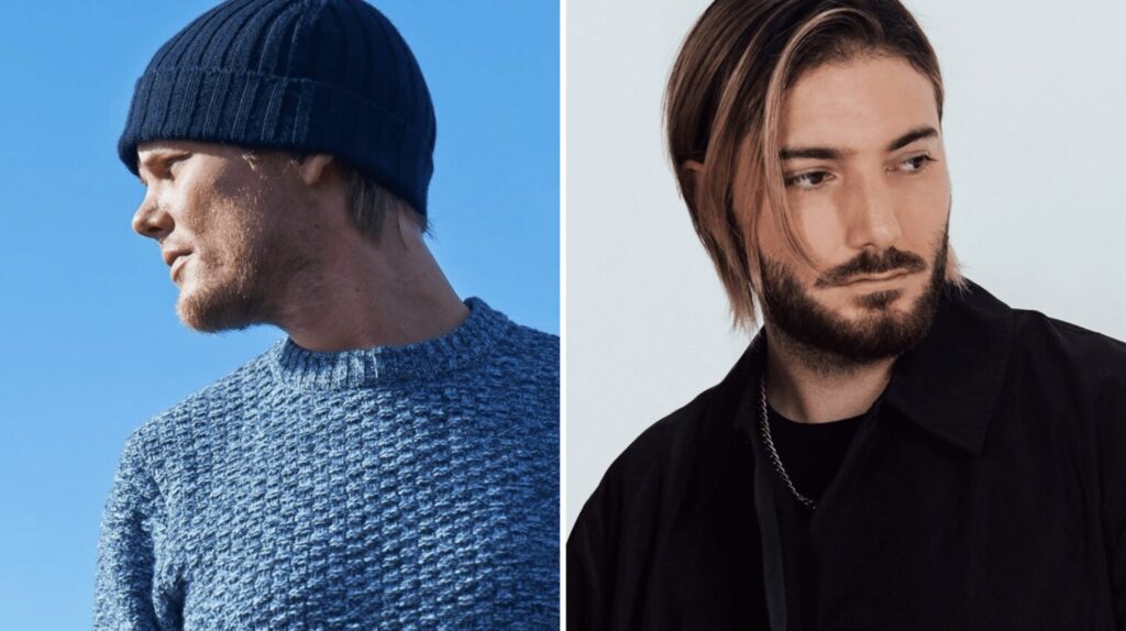 Alesso Partners Up With Avicii's Tim Bergling Foundation