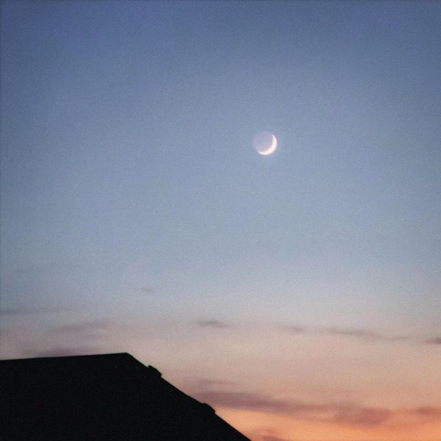 Jonah Zed – ‘Moonshot’