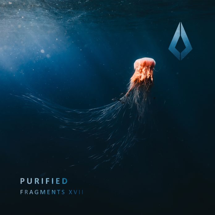 Purified Records Unveils Purified Fragments XVII