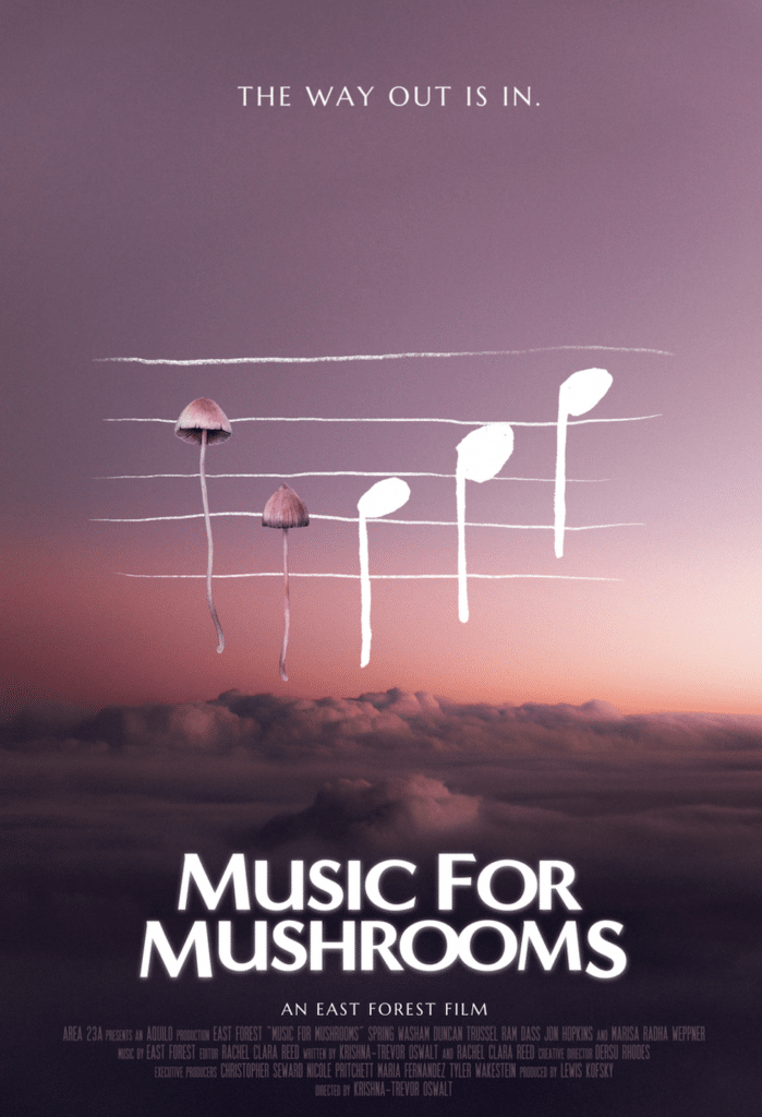 Celebrate World Mental Health Day With East Forest’s Music For Mushrooms Film