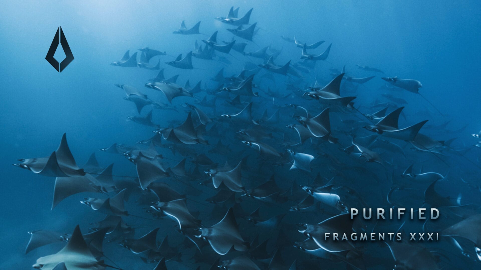 Purified Records Unveils 31st Edition of VA Series ‘Fragments XXXI’